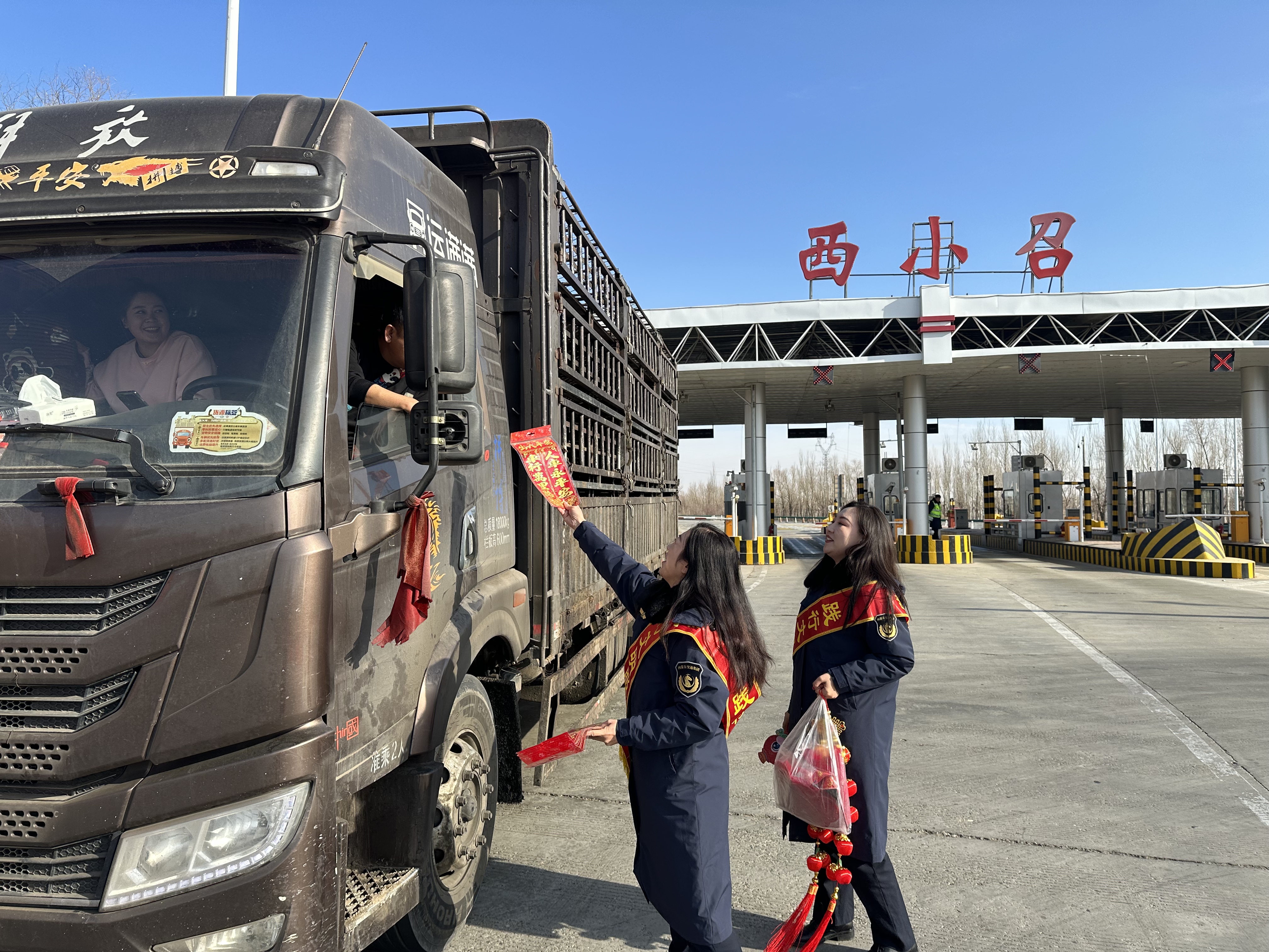 女人与公狍交酡女免费