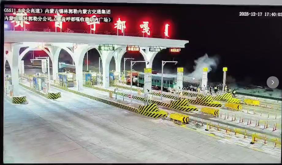 女人与公狍交酡女免费