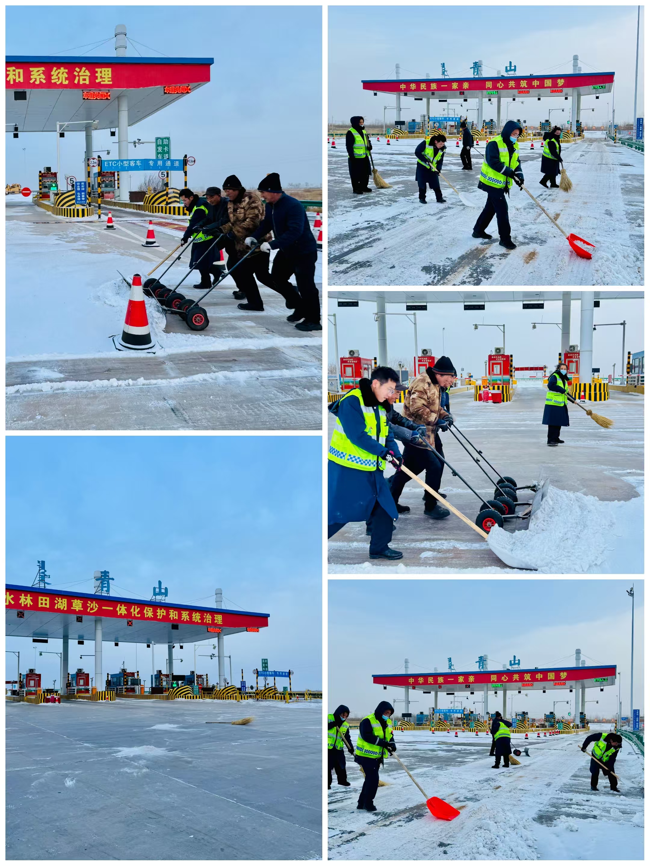 女人与公狍交酡女免费