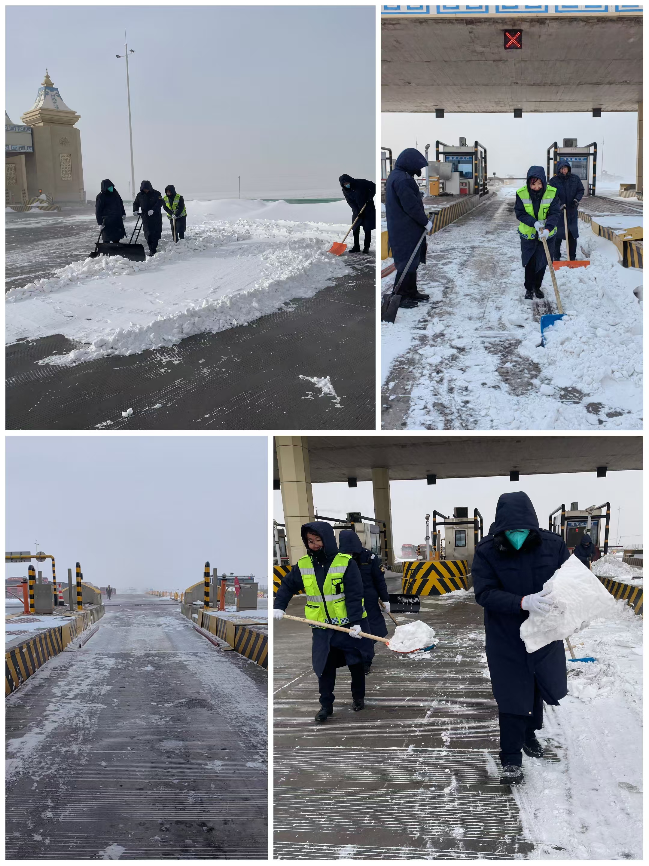 女人与公狍交酡女免费