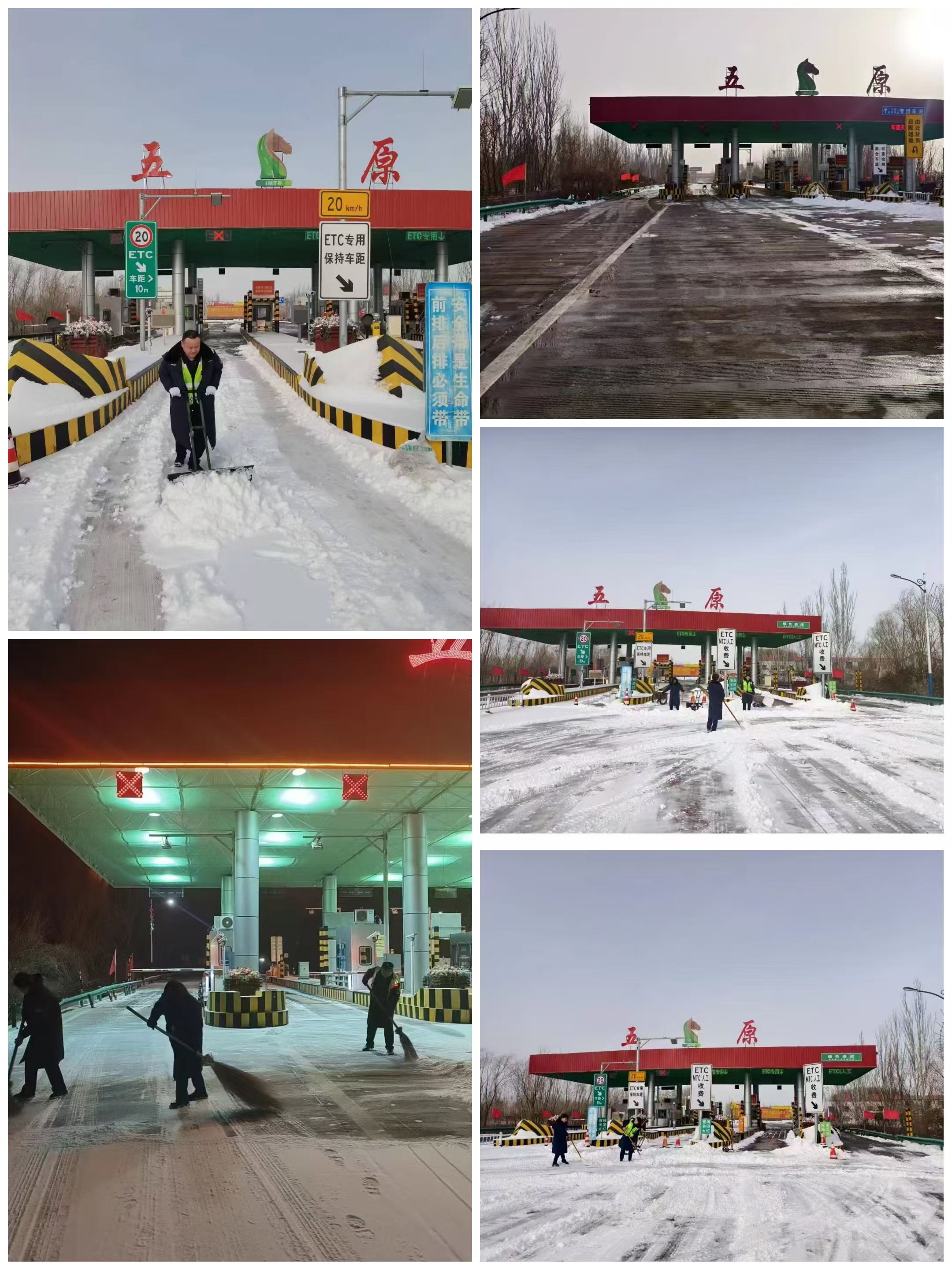 女人与公狍交酡女免费