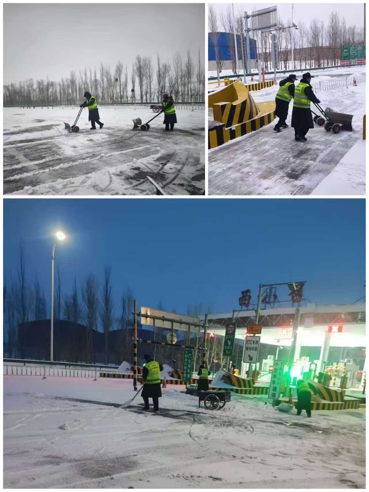 女人与公狍交酡女免费