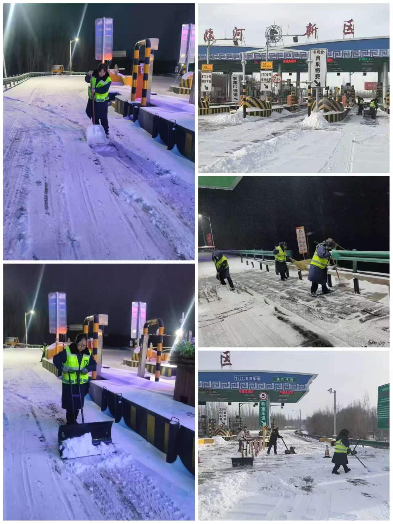 女人与公狍交酡女免费