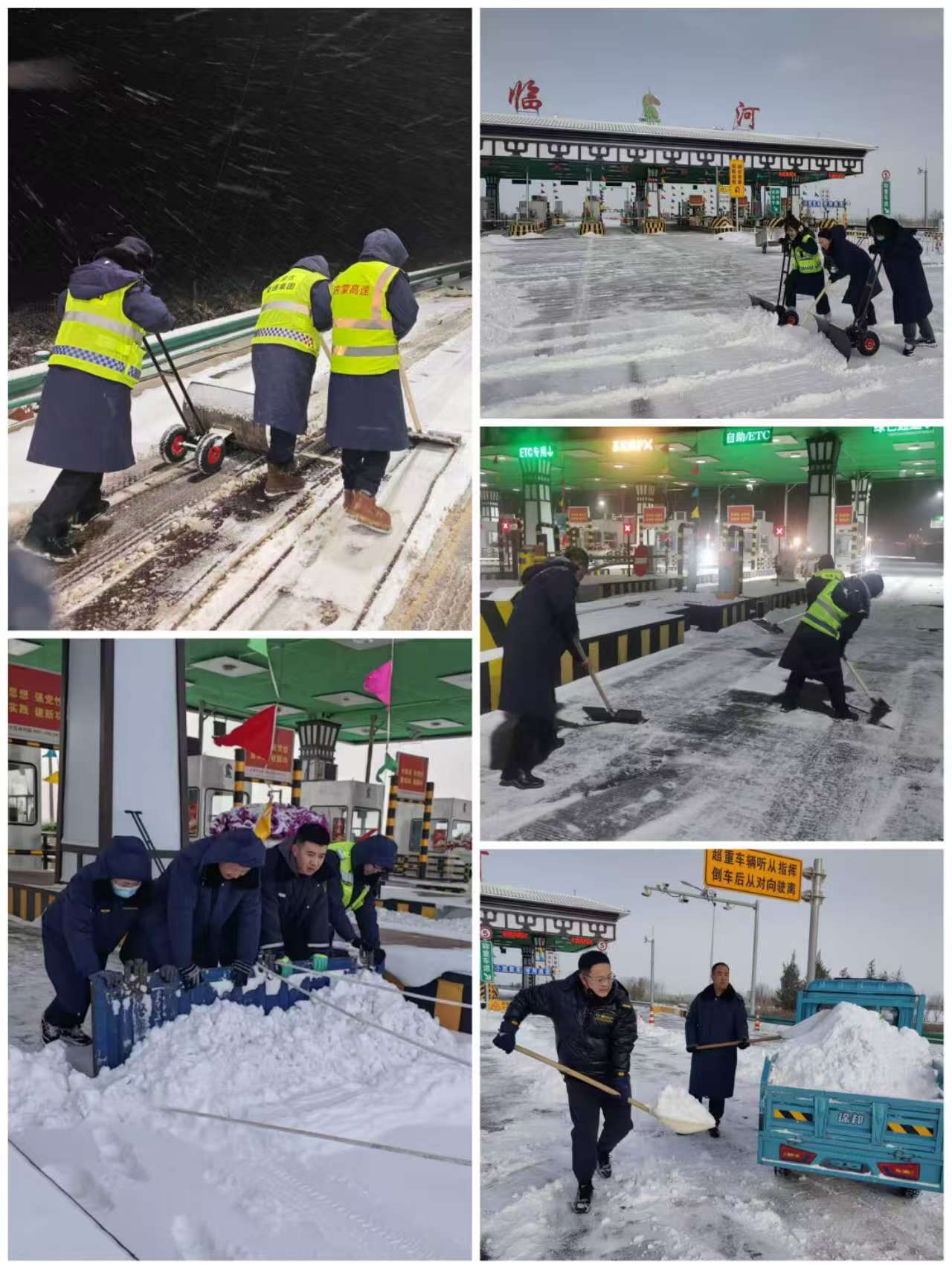 女人与公狍交酡女免费