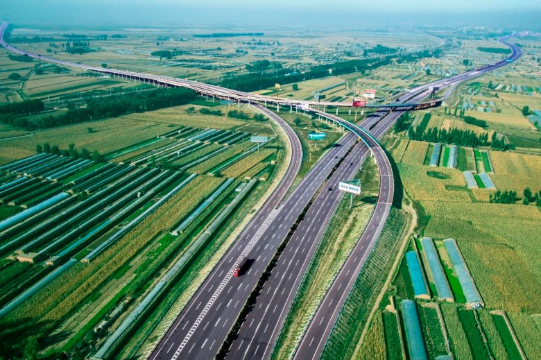 女人与公狍交酡女免费