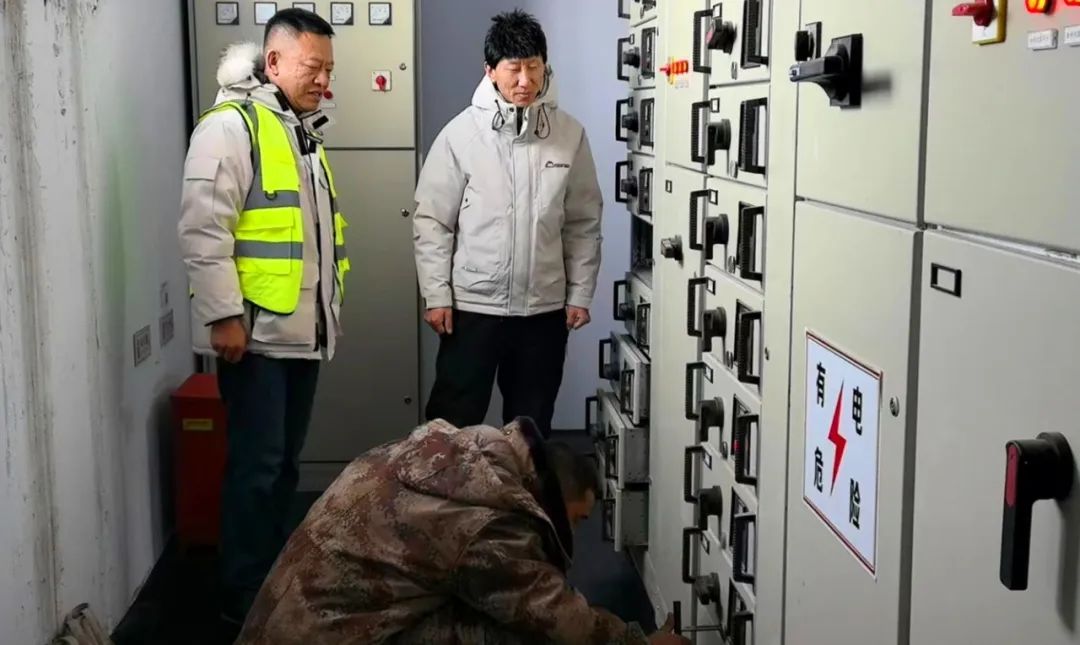 女人与公狍交酡女免费