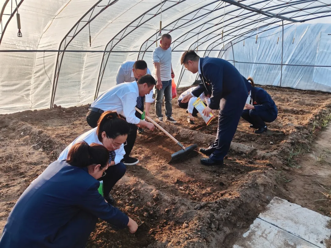 女人与公狍交酡女免费