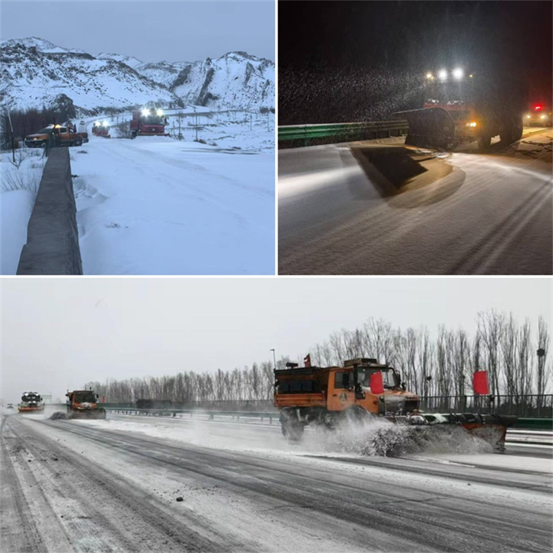 女人与公狍交酡女免费