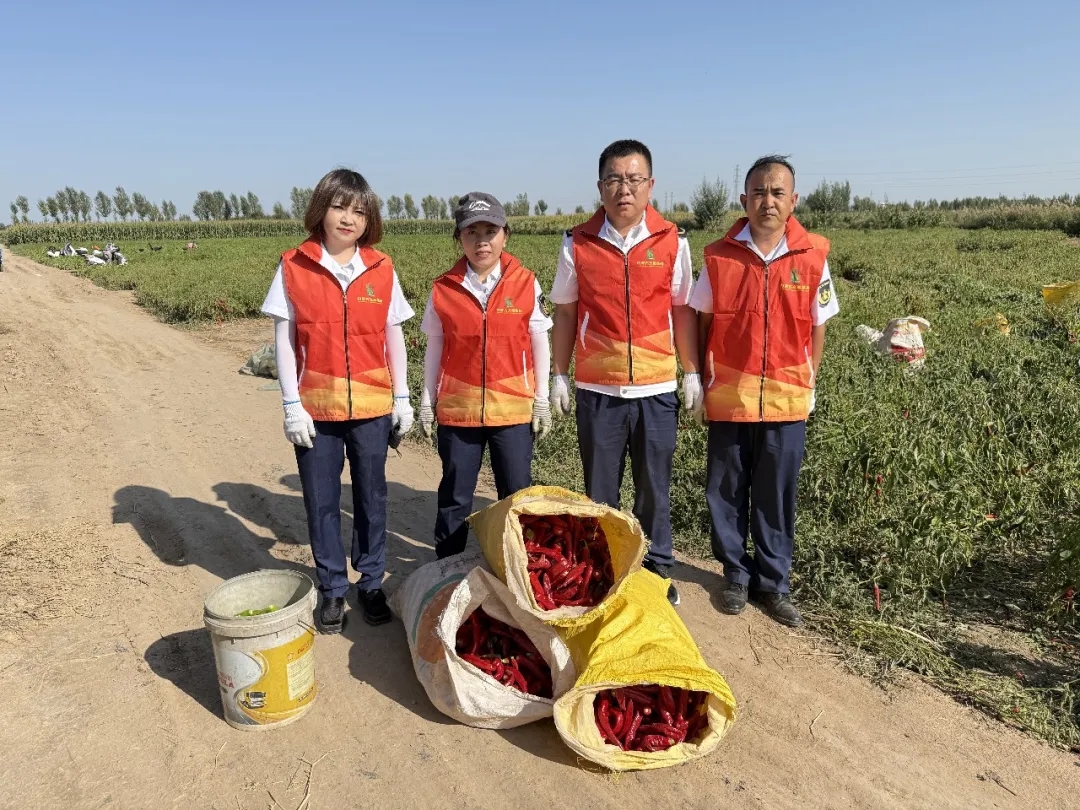 女人与公狍交酡女免费