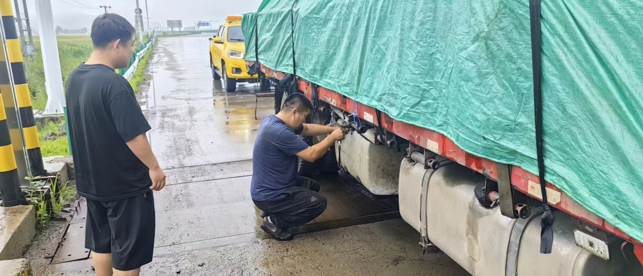 女人与公狍交酡女免费