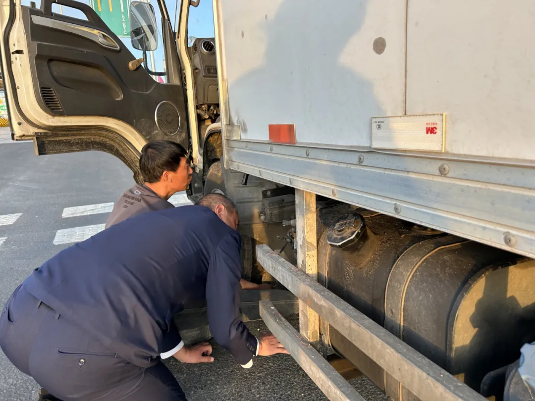 女人与公狍交酡女免费