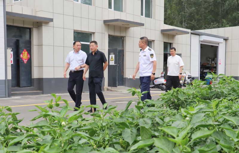 女人与公狍交酡女免费