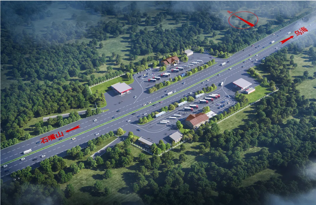 女人与公狍交酡女免费