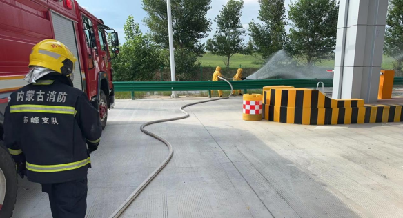 女人与公狍交酡女免费