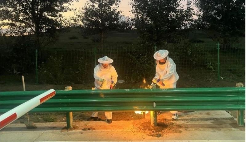 女人与公狍交酡女免费