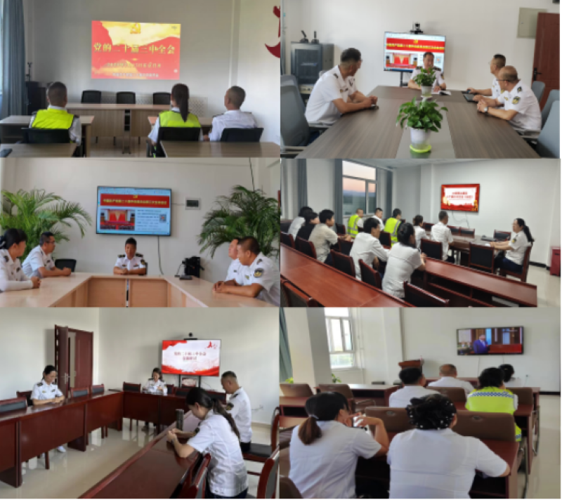 女人与公狍交酡女免费