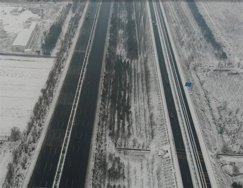 女人与公狍交酡女免费