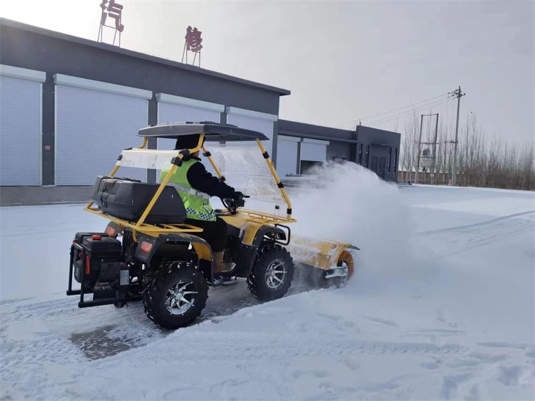 女人与公狍交酡女免费