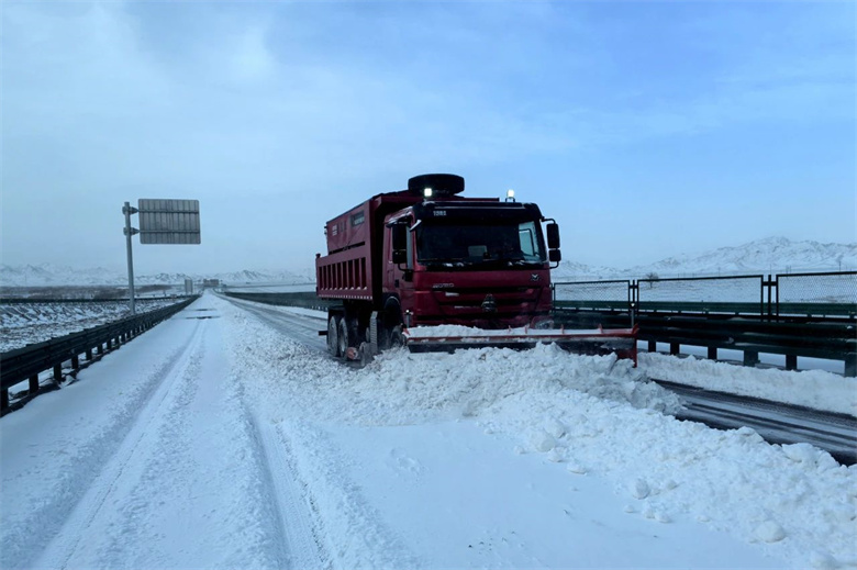女人与公狍交酡女免费