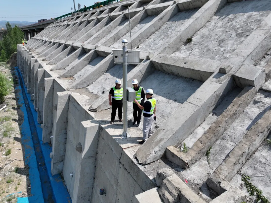 女人与公狍交酡女免费