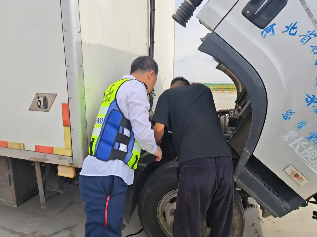 女人与公狍交酡女免费