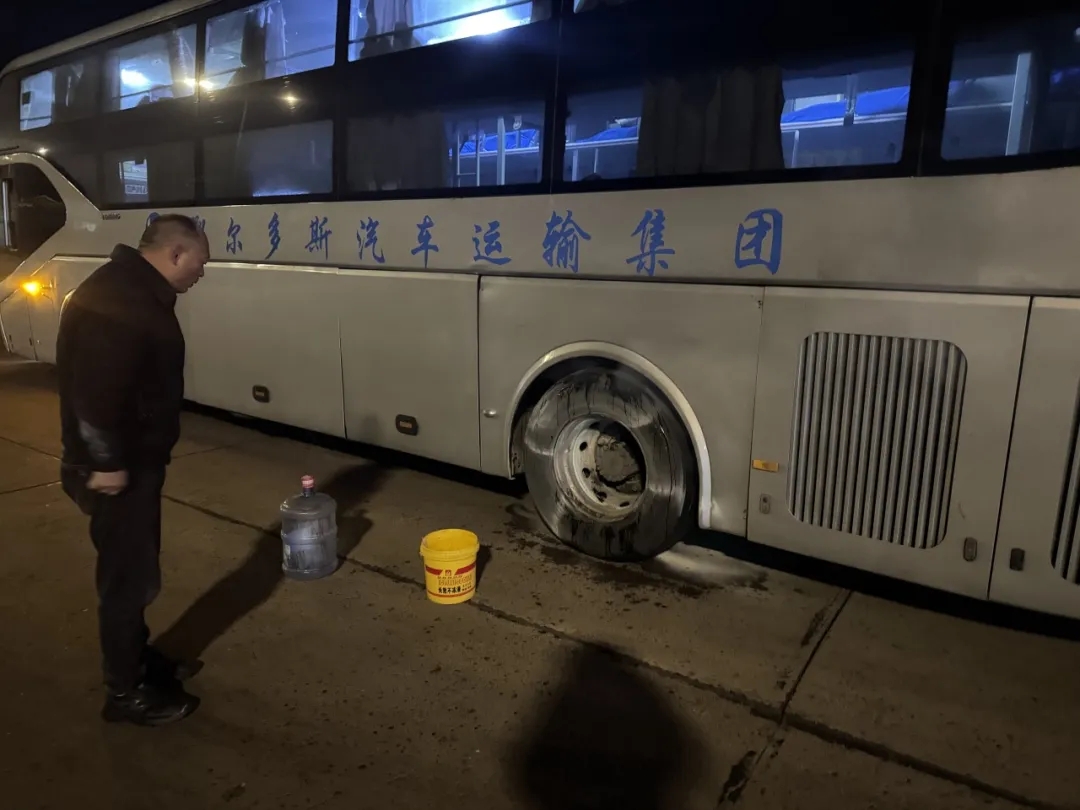 女人与公狍交酡女免费