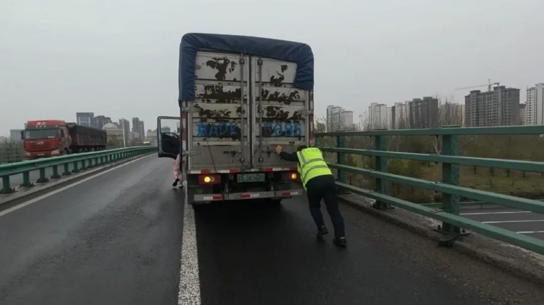 女人与公狍交酡女免费