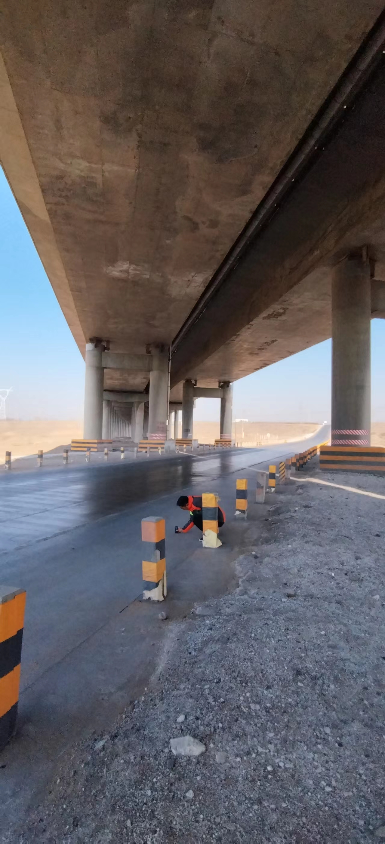 女人与公狍交酡女免费