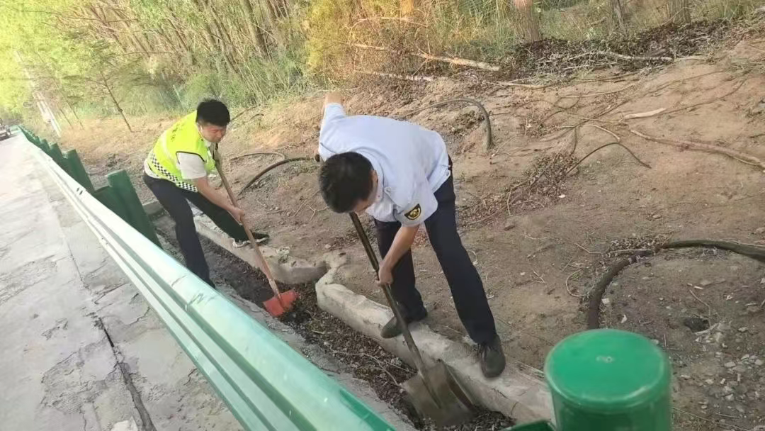 女人与公狍交酡女免费