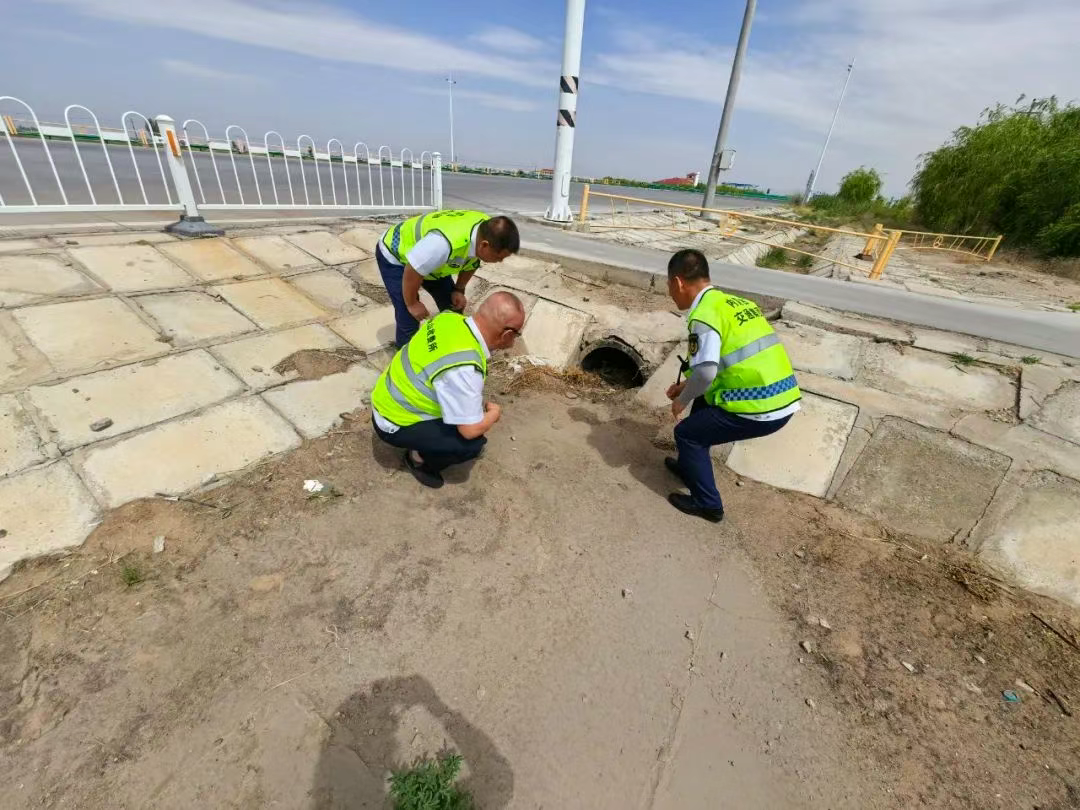 女人与公狍交酡女免费