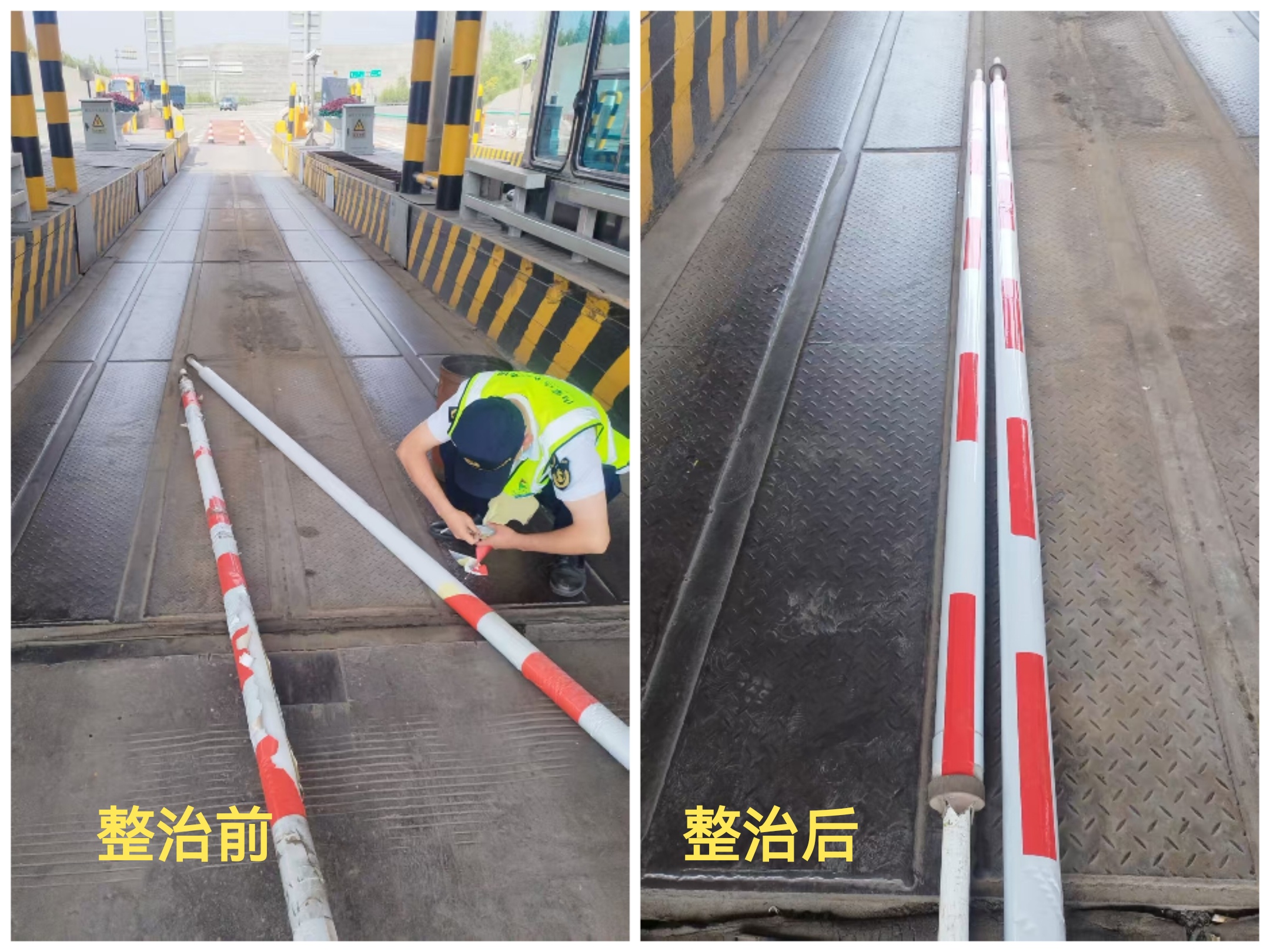 女人与公狍交酡女免费