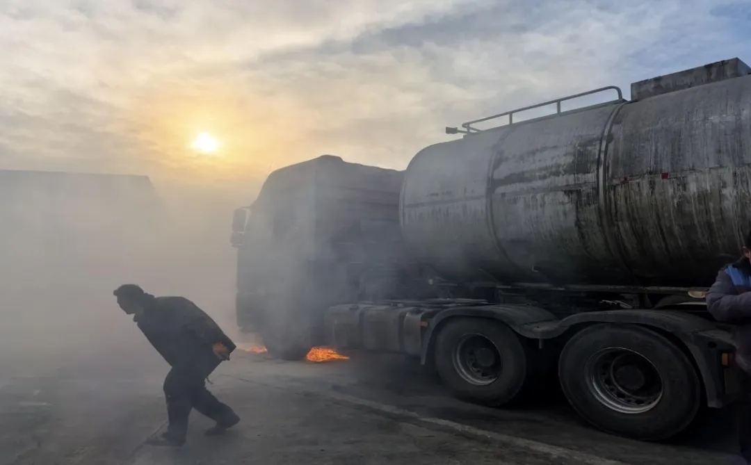 女人与公狍交酡女免费