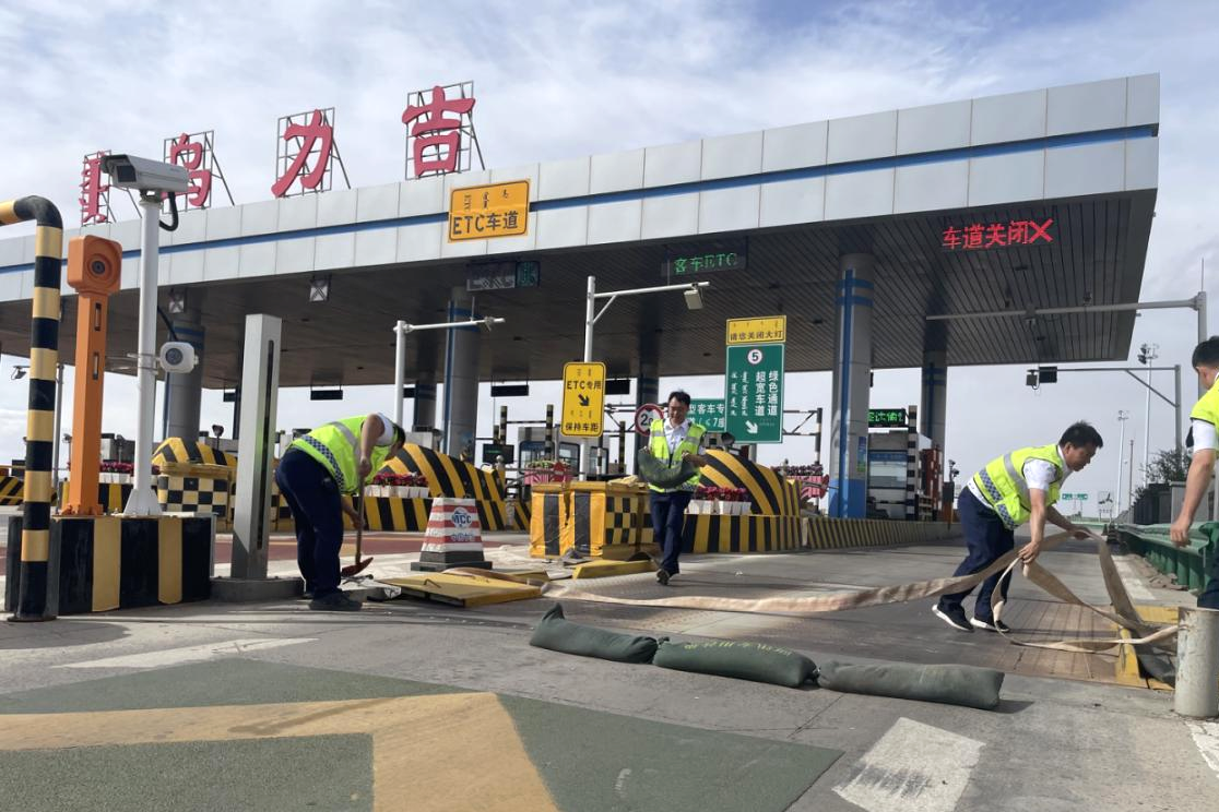 女人与公狍交酡女免费