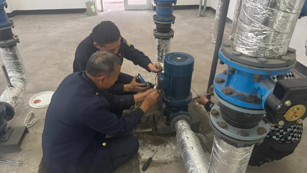 女人与公狍交酡女免费