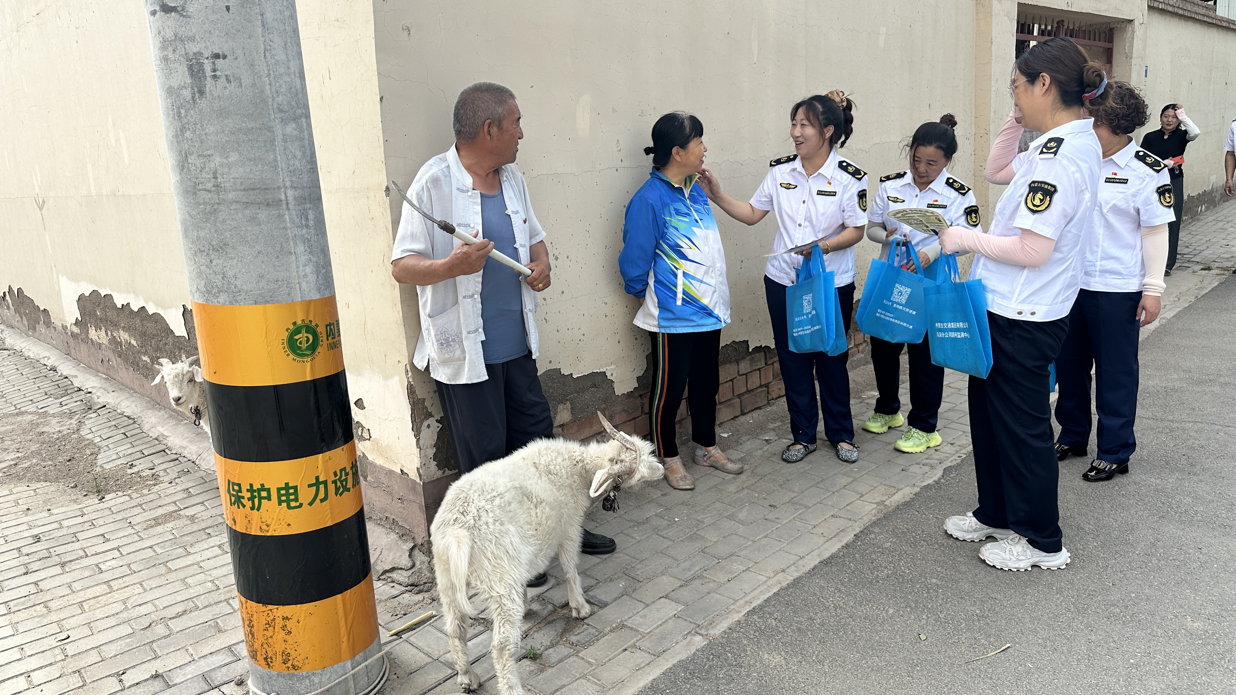 女人与公狍交酡女免费