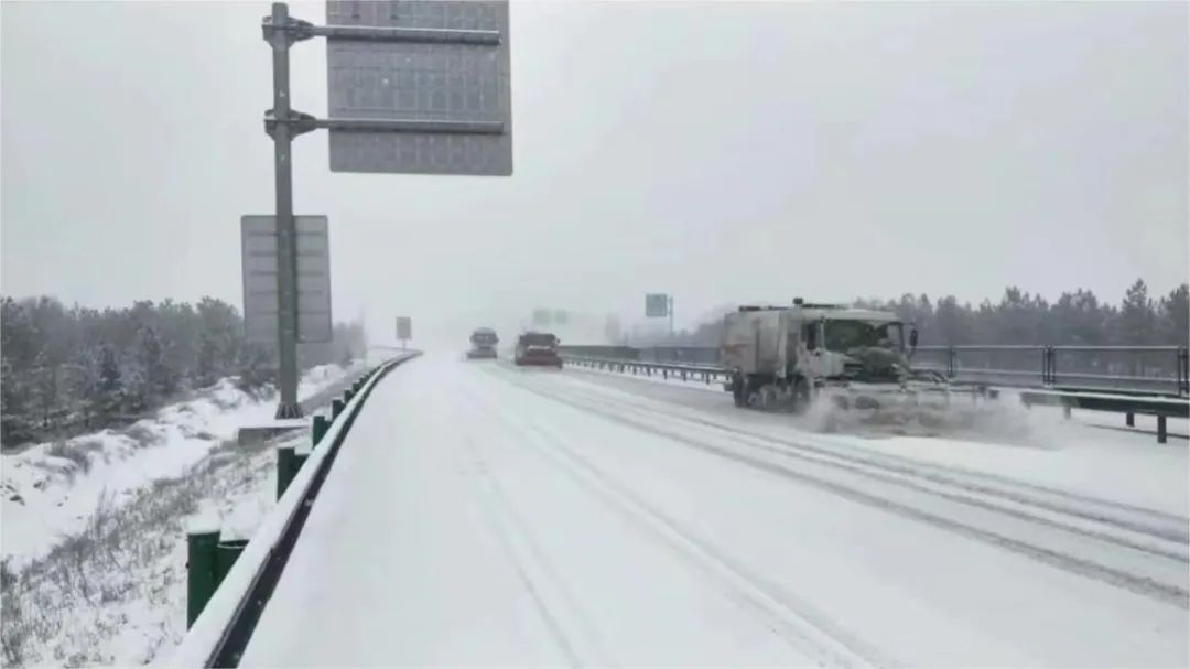 女人与公狍交酡女免费