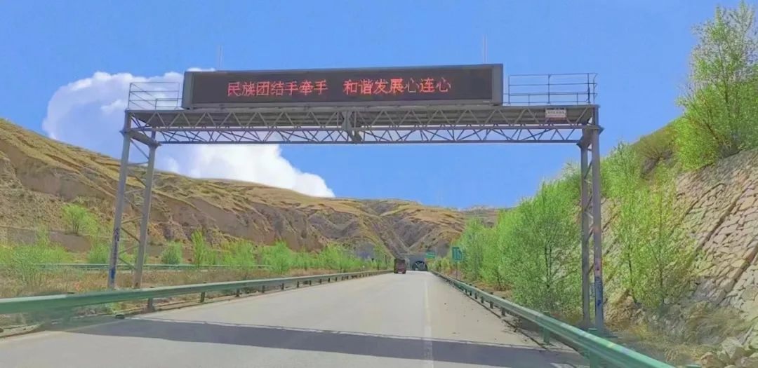 女人与公狍交酡女免费