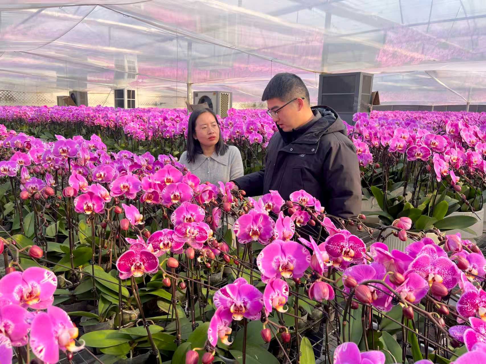 女人与公狍交酡女免费