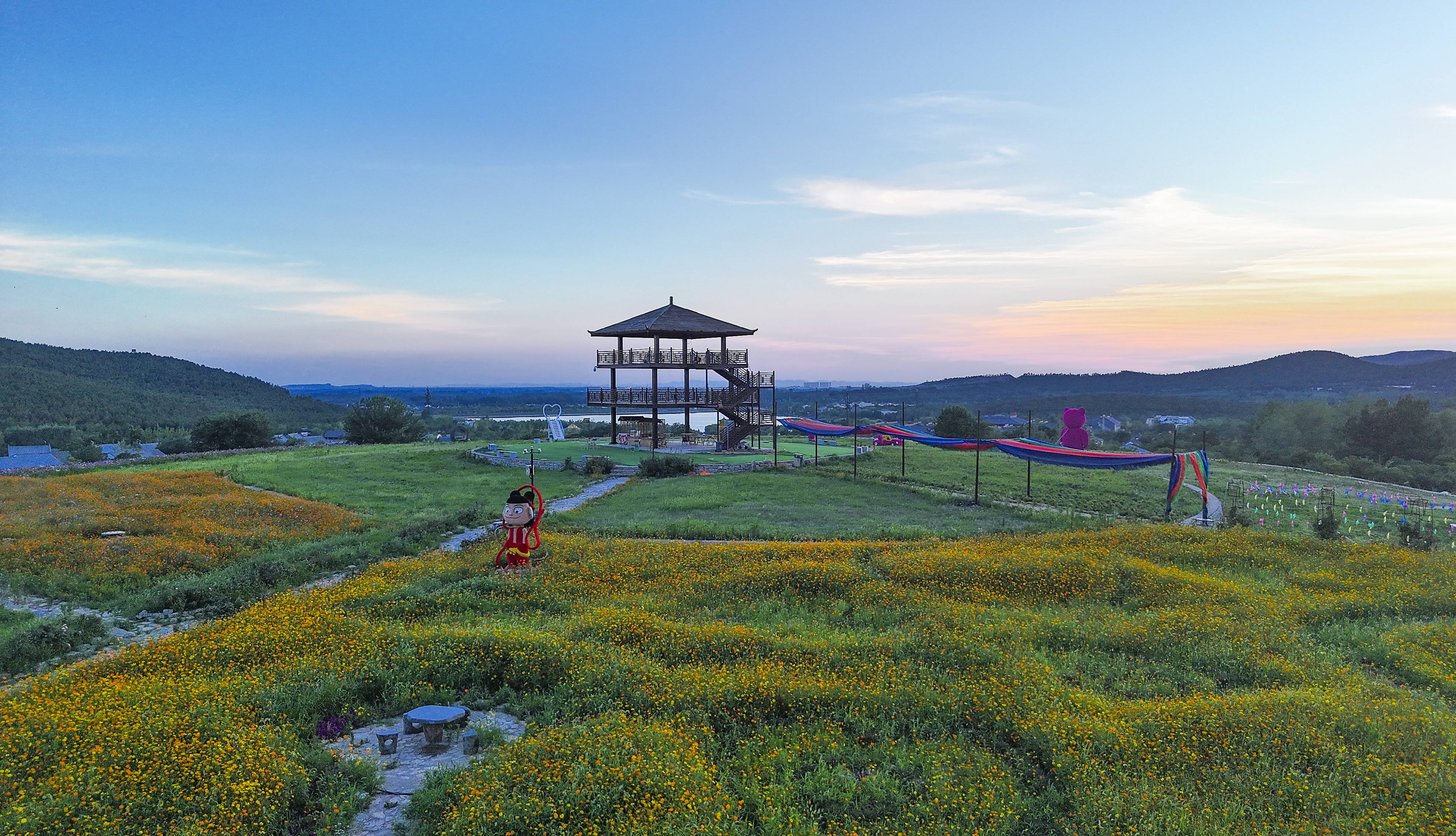 女人与公狍交酡女免费