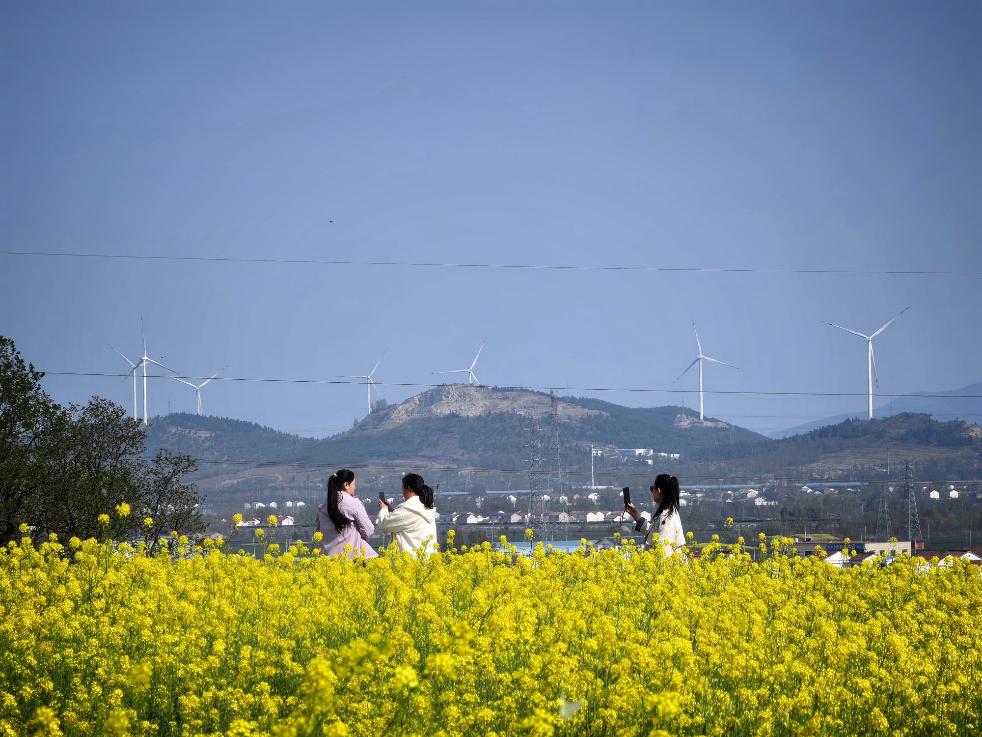 女人与公狍交酡女免费