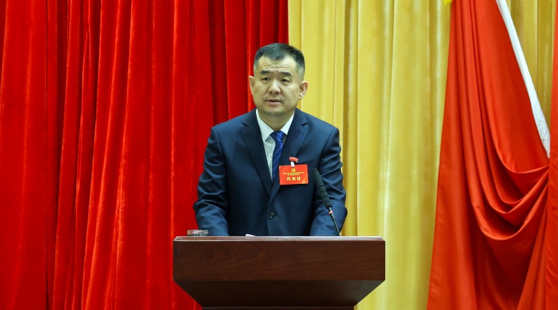 女人与公狍交酡女免费