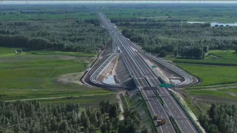 女人与公狍交酡女免费