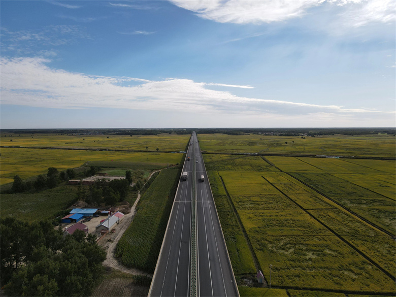 女人与公狍交酡女免费