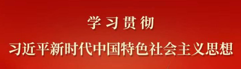 学习贯彻习近平新时代中国特色社会主义思想