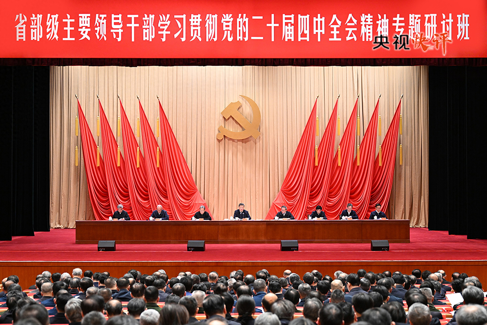 女人与公狍交酡女免费