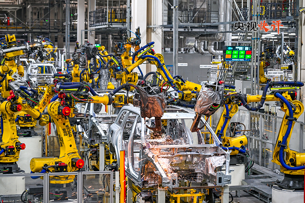 女人与公狍交酡女免费