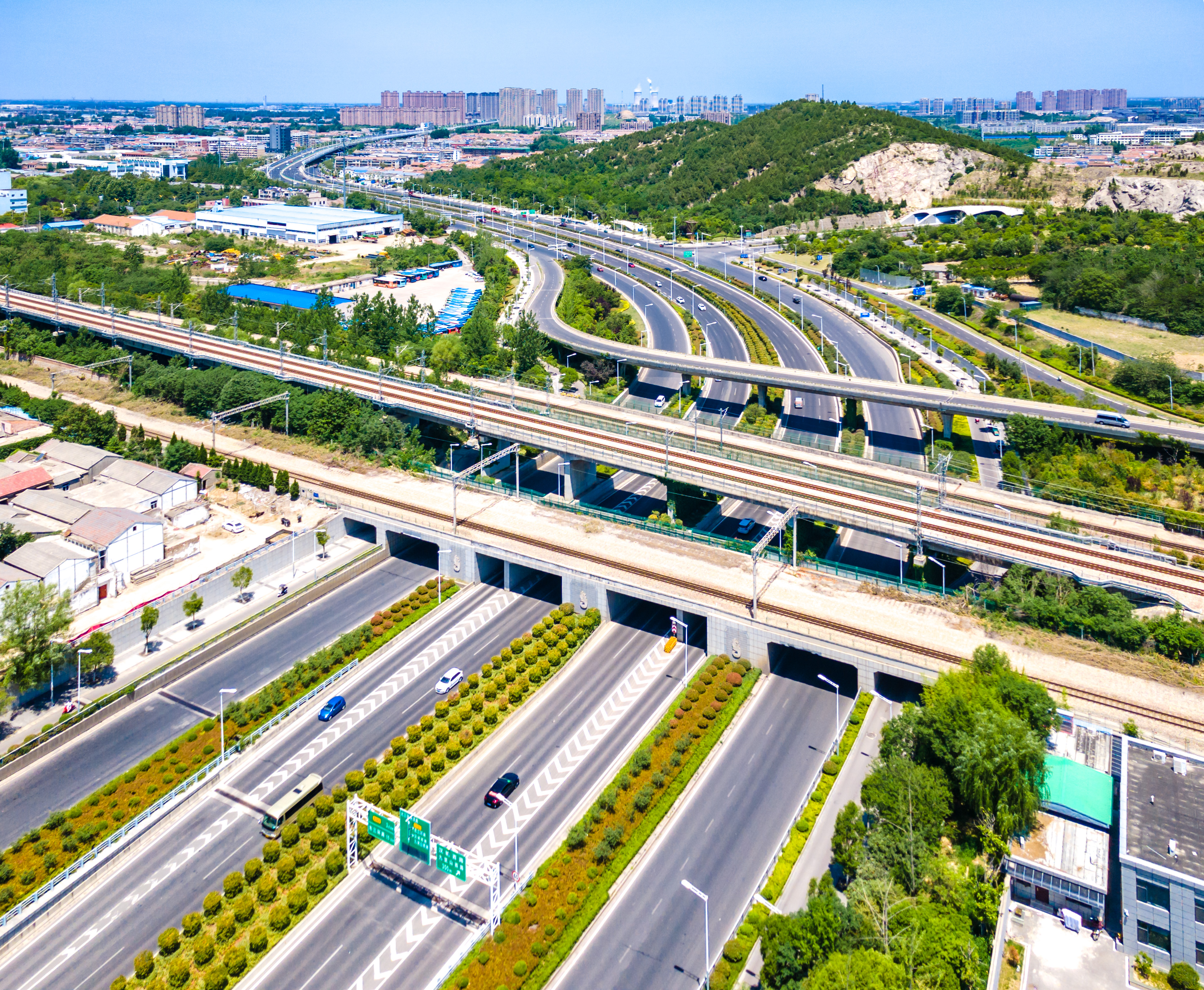 女人与公狍交酡女免费