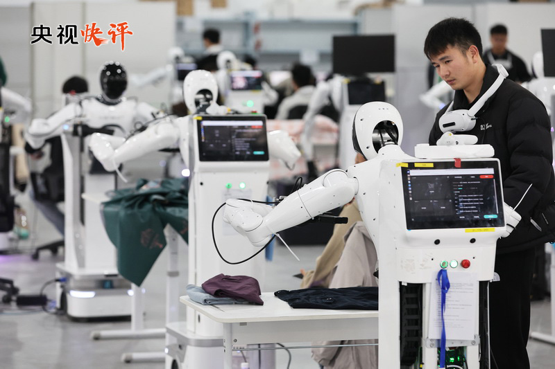 女人与公狍交酡女免费