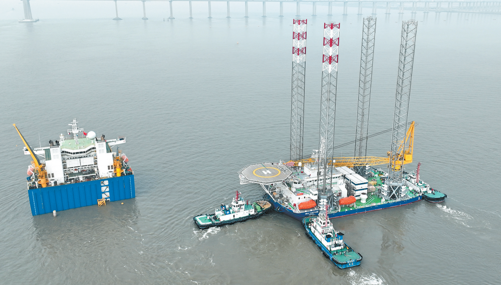 女人与公狍交酡女免费