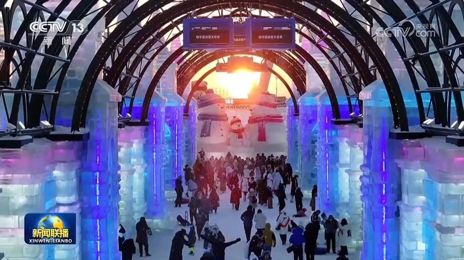 女人与公狍交酡女免费